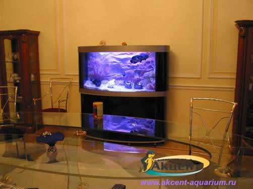 Акцент-Аквариум, аквариум эллипсоидной формы 500 литров с объёмным фоном